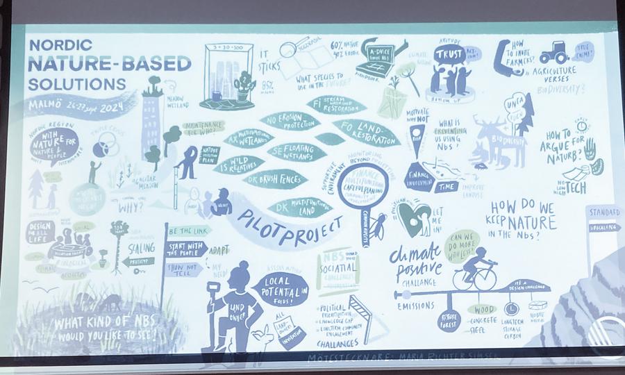 Small drawings illustrating different topics mentioned during the conference.